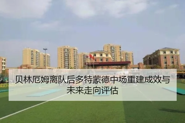 贝林厄姆离队后多特蒙德中场重建成效与未来走向评估
